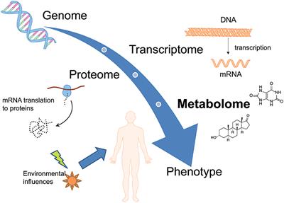 Metabolomic Strategies in Biomarker Research–New Approach for Indirect Identification of Drug Consumption and Sample Manipulation in Clinical and Forensic Toxicology?